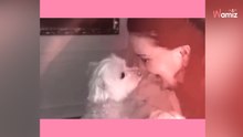 El trágico accidente de María José Cantudo para salvar a su perrita: "Me estoy muriendo"