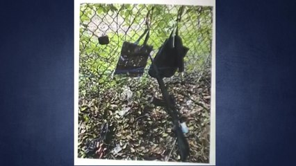 용의자, 사건 현장에 영상 촬영 장비도 설치 / YTN