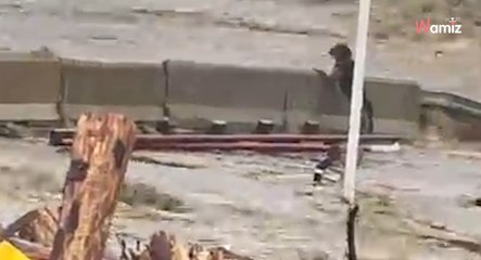 Głuchołazy: owczarek niemiecki uwięziony pośrodku rwącego nurtu. Niestety, historia nie ma happy endu