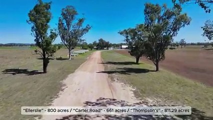 Ellerslie, Millmerran, Qld | September 16, 2024 | Farmonline
