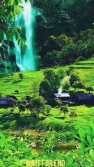 Islamic best emotional shorts, short, video