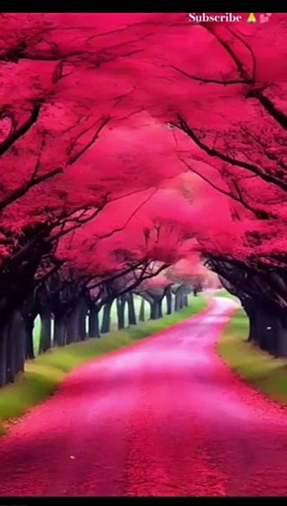 #shorts#Nature Status video||Dil To Pagal Hai Song|| trending nature shorts #nature #tiktok #viral #naturelovers