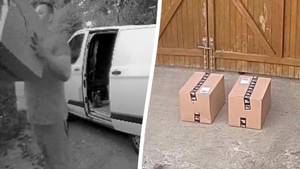 Yodel delivery driver throws woman's order over 6ft gate