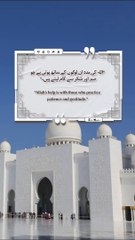 Best Quotes #shorts #shortvideo #shortsfeed #short #shortsviral #quran #video #viralvideo #islam