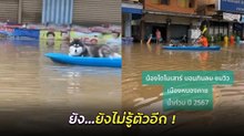 หมาไซ ชมวิวน้ำท่วมหนองคาย ว่าแต่น้องรู้ตัวยังว่าเป็นผู้ประสบภัย !