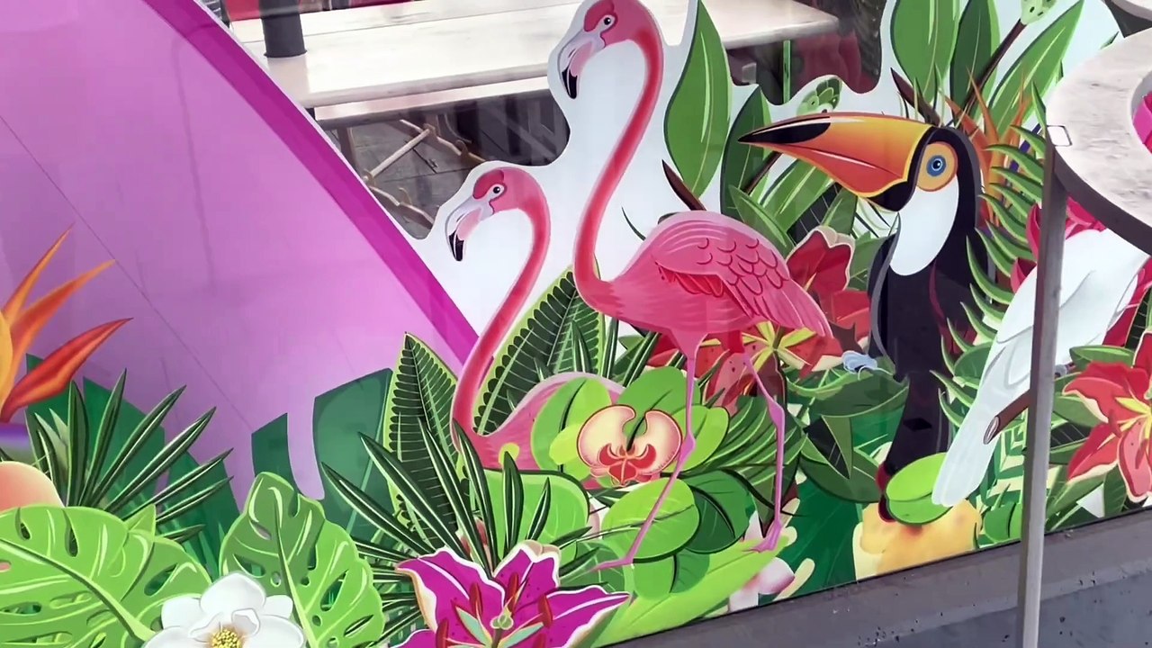 Wai’kiki Bowl Hannover ｜ Food Review ｜ Teddy D. Dragon