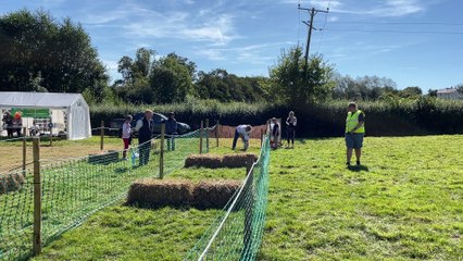 Dog jumping over straw bales (Will Goddard, Crediton Courier)
