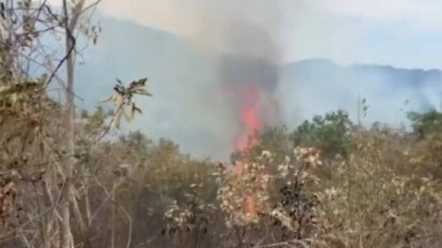 Video: este es el voraz incendio forestal que ha afectado más de 2.500 hectáreas de bosque en Tolima