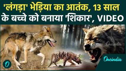Bahraich Bhediya Attack: लंगड़ा भेड़िये का आतंक, 13 साल के बच्चे को बनाया शिकार | वनइंडिया हिंदी