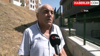 Mamak'ta Sahipsiz Köpek Korkusu: Vatandaşlar Yetkililerden Yardım Bekliyor