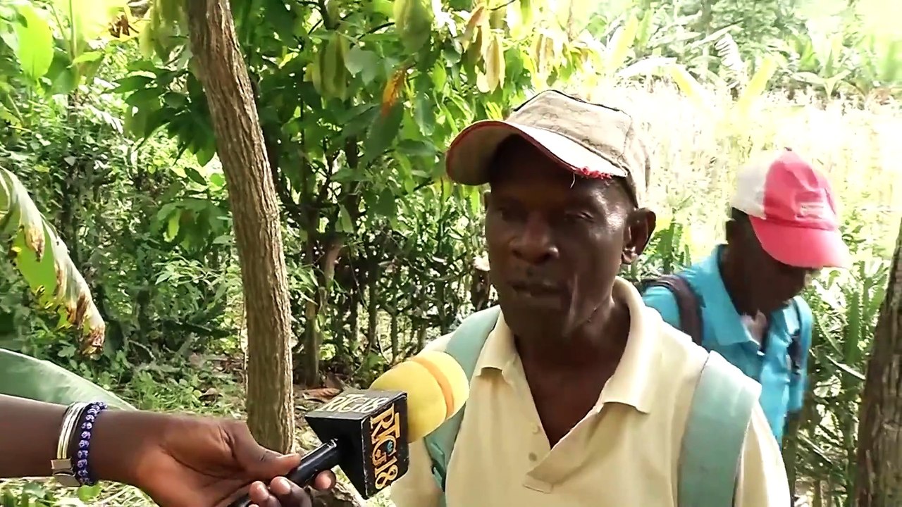 Ministè anviwònman lanse pwojè "HIMO Verts" nan depatman Nò ak Latibonit ki vize rebwaze tout peyi a