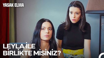 Zehra ve Lila, Halit'i Sorguya Çekti - Yasak Elma 68. Bölüm