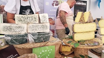 La exportación de quesos españoles crece hasta junio al tiempo que repunta el consumo doméstico