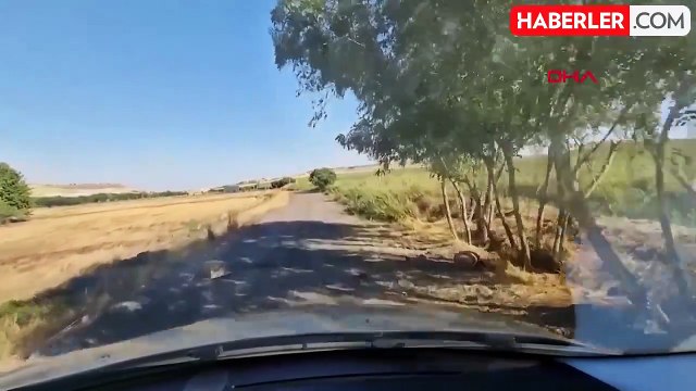 Diyarbakır'daki Narin Güran Cinayeti: Sır Perdesi Aralanıyor