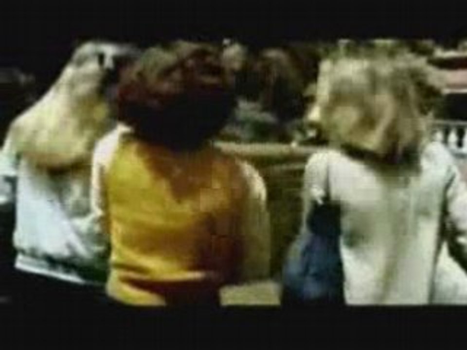 Halloween 1978