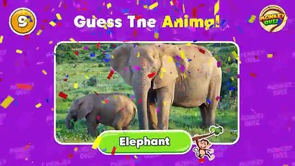 Guess the ANIMAL by Emoji?  Monkey Quiz
