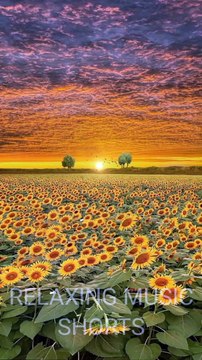 Relaxing & Meditation Music | Calm Sleep Music | Short Video Meditation relaxing music #shorts #short #viral