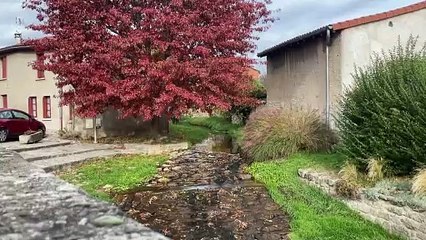 Tourisme : les touristes étaient au rendez-vous cet été