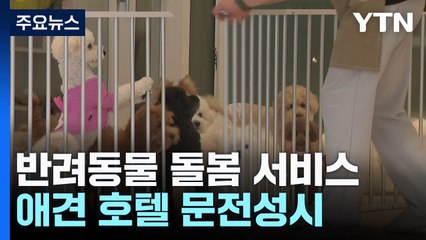 반려동물 어떡하지?...연휴 돌봄 서비스 확대 / YTN