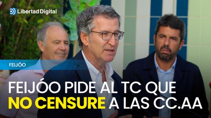 Feijóo pide al TC que no censure el derecho de las autonomías contra la Ley de Amnistía