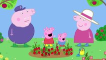 Peppa Pig _ Motorbiking _ Peppa Pig Official _ Family Kids Cartoon