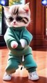 cat cartoon dancing video for kids Entertainment