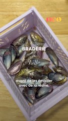 Chaque année 500 tonnes de moules sont englouties lors de la braderie de Lille. On vous explique où finissent toutes ces coquilles de moules. ✨