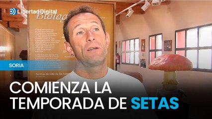 Oficialmente comienza la temporada de setas
