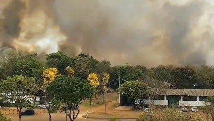 Incêndio toma conta do Parque Nacional de Brasília