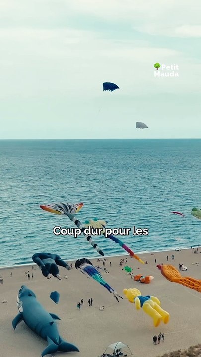  Coup dur pour les amateurs de Cerf-Volant !  L'événement qui réunit les passionnés du monde entier et illumine le ciel de Dieppe n'aura malheureusement pas lieu cette année…   Et oui, le Festival International du Cerf-Volant de Dieppe est annulé à ca