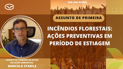 Video herunterladen: Incêndios florestais: Ações preventivas em período de estiagem