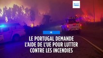 Le Portugal appelle à l'aide pour lutter contre une série d'incendies de forêt