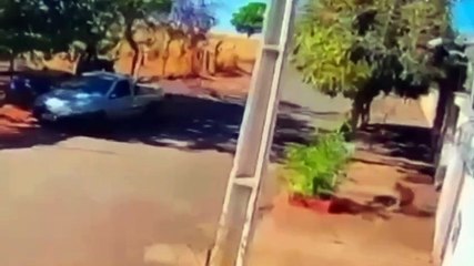 Vídeo de crime brutal! Açougueiro mata ex-companheira com mais de 30 facadas