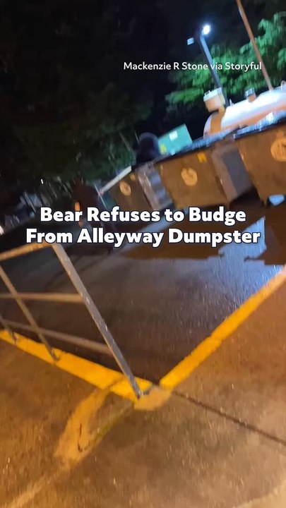 Bear Refuses to Budge From Alleyway Dumpster