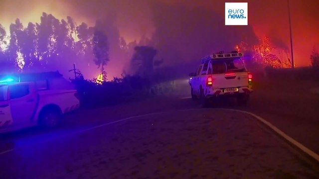 Португалия просит помощи в борьбе с лесными пожарами