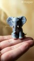 Tiny Elephant in human hands