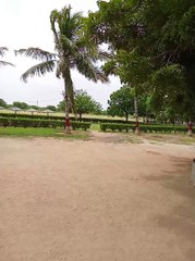 Nature view with original sound