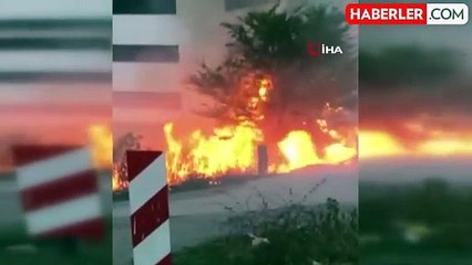 Sakarya'da Korkutan Yangın: İtfaiye Ekipleri Zamanında Müdahale Etti