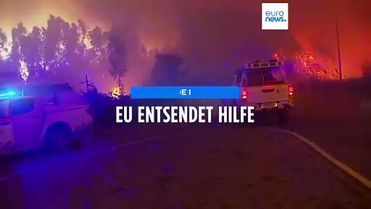 Waldbrände in Portugal: EU mobilisiert acht Löschflugzeuge