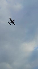 Atterrissage en catastrophe d'un avion biplace à Bleid: deux blessés