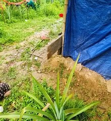 Hard Life of A Girl with her Little Brother