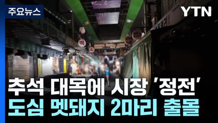 "추석 대목에"...전통시장 정전에 상인들 '날벼락' / YTN