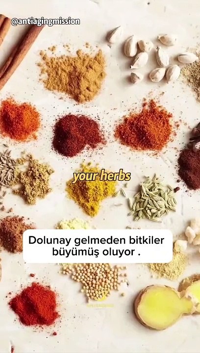 141 yaşındaki kadın, uzun yaşamın sırrını anlattı