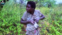 Hunting And Eating Wild Boar And Rare African Animals With The Hadza Tribe _ Hun