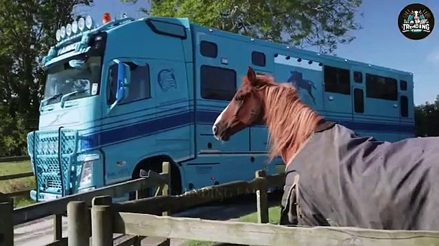 How Millions Of Horses Are Processed In A Factory _- The Modern Horse Factory _