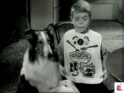 1959 Jon Provost ( Lassie ) Campbell's pork & beans TV commercial