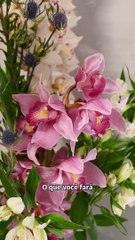 O QUE VOCÊ FARÁ DO SEU HOJE?  -  MENSAGEM MATINAL