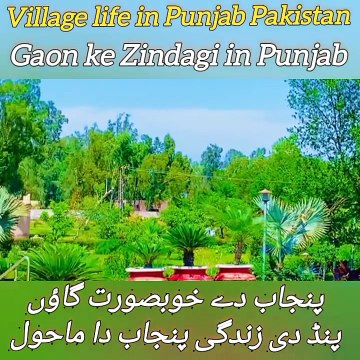 Pind de Zindagi village life in Punjab India and Pakistan very unique and wonderful village life in Punjab India and Pakistan Sanjah punjab routine work in village