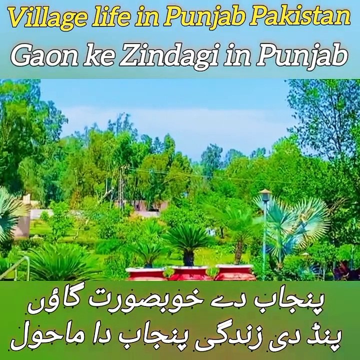 Pind de Zindagi village life in Punjab India and Pakistan very unique and wonderful village life in Punjab India and Pakistan Sanjah punjab routine work in village