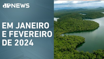 Desmatamento na Mata Atlântica teve redução de 59%
